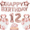 Luftballon 12. Geburtstag Deko Mädchen Roségold, Rosegold Folienballon 12 Jahre Geburtstag, Deko 12 Geburtstag Mädchen, Happy Birthday Banner, Tortendeko für Ballon 12 Geburtstagdeko Mädchen