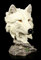 Figuren Shop GmbH Dekofigur Wolf Büste - Lonely Hunter | Tierskulptur, handbemalt