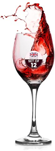 We Can Source It Ltd - Unbreakable Polycarbonate Wine Glasses 10oz (300ml) with Reusable Design – Perfect for Outdoor Events, BBQs, and Home Parties – Lightweight & Contemporary Style - Pack of 12