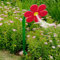 Crazy Daisy Water Sprinkler, 2025 Tanzende Gänseblümchen Sprinkler, Rasensprinkler Tanzende Blume, 360° drehbar Tanzender Blumen-Wassersprinkler mit Adapter, Lustige Wassersprinkler für Garten, Rasen