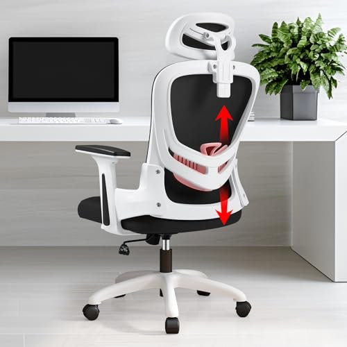 Sedia Ufficio Ergonomica con Supporto Lombare Regolabile, Braccioli 2D, Poggiatesta e Altezza Aggiustabile - Sedia da Computer Rete Mesh per Ufficio e Casa