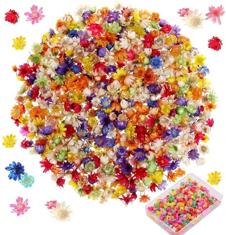 Canollo 200 Stück Trockenblumen zum Basteln, Mini-Trockenblumen, Natürliche Getrocknete Blumen, Trockenblumen Klein, Trockenblumen Deko für Seifenherstellung, DIY Nagel, Duftkerzen, Scrapbooking