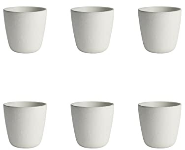 AIDA RAW – Single Wall Tasse 30 CL – 6 Stück – Arctic White