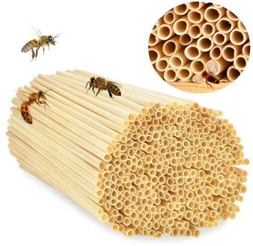 500 STK Nisthülsen für Insektenhotel, 20 cm lang Nisthülsen für Wildbienen, Insektenhotel Füllmaterial Wildbienen Zubehör, Weizenhalme Füllung für Wildbienenhotel, Bienenhotel Nisthilfen Bienenhaus