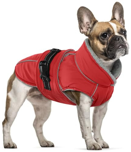 PUMYPOREITY Hundemantel Winter, wasserdichte Welpen Warme Jacke Weste Reflektierende Hundejacke Fleece Gefüttert Wintermantel mit Fleecekragen Winter Hundekleidung(Rot, S)