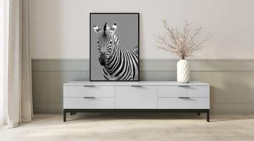 HUBDECO Bild Wanddekoration Poster - Hochwertiges Poster gedruckt auf 200g/m2 Posterpapier - Tolle Zimmerdekoration - Schlafzimmer Bilder - Ohne Ramen - 70x50cm - Zebra Porträt