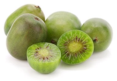 Rarität - Kiwibeere - Mini Kiwi - Kiwipflanze - Actinidia arguta Issai - selbstfruchtend - Winterhart - Gesamthöhe 60cm - Topf 2 Ltr. [4600]