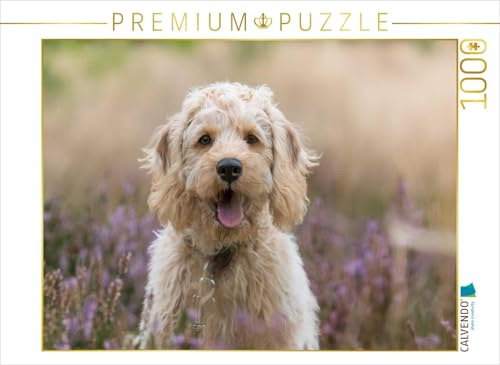 CALVENDO Puzzle Labradoodle Welpe | 1000 Teile Lege-Größe 64 x 48 cm Foto-Puzzle für glückliche Stunden