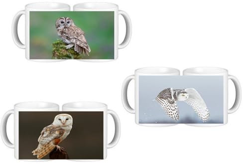 Set of 3 Owls Birds Ceramic Coffee Mugs in Smash Proof Box