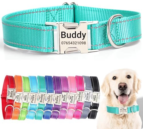 SEOUGEE Personalised Dog Collar with Engraved Metal Buckle, Reflective Nylon Collars for Small Medium Large Dogs with Custom Name Plate Phone Number (Dark Green, M:Neck 35-50cm,Width 2cm)