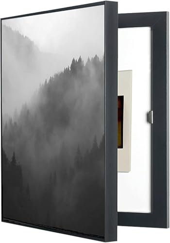 Sicherungskasten Abdeckung Schrankdekoration GemäLde Verbergen, StromzäHler Abdeckung Moderne Dekorative Stromkasten Abdeckung, Abnehmbarer StromzäHlerkasten(B,40 * 50CM)