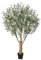 VeriNatural Künstlicher Olivenbaum 180cm - Kunstpflanze groß mit UV-beständigem, Deko Pflanze mit stabilem Baumstamm - Zimmerpflanze für Wohnzimmer, Büro, Balkon, Garten, Badezimmer,VN160