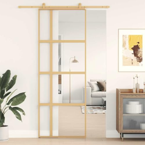 Puerta corredera de ducha interior, 76 x 205 cm, cristal transparente y aluminio, para salón, cocina, cuarto de baño