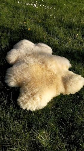 Provellus Echt medizinisches Merino Lammfell Schaffell geschoren und ungeschoren S-XXXL (1. Wahl 5-10 cm ungeschoren, 110cm - 120cm)