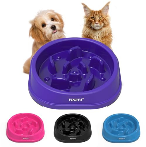 Anti-Choking Slow Feeder Dog Bowls Small Size Dog, Slow Feeder Cat Bowl, Supplies and Puzzle for Pet