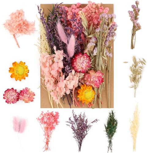 Trockenblumen Zum Basteln, Natürliche Gemischte Getrocknete Blumen, Trockenblumen Klein für DIY Epoxidharz Scrapbook Zubehör Handwerk Karten Machen (Rosa-Violett)
