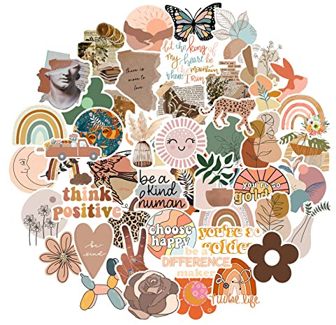 CAKOLINK Vintage Aesthetic Stickers 50 Pcs, Vinyl Waterproof Stickers for Water Bottles Laptop Phone Computer Guitar (1)