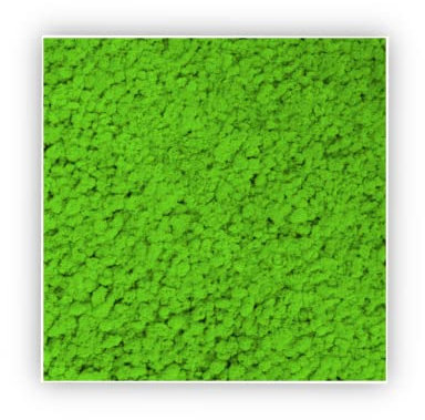 clorophilla. Quadro con Lichene Moss Muschio Naturale, No Manutenzione, Arredo Ufficio e Casa, Idea Regalo - 30x30 (VERDE NATURE)