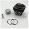 Kit di clip for fasce elastiche e cilindri da 48 mm, adatto for EMAK, OLEO, MAC 965, 961, 962, 956, EFCO 162, ricambi for motosega, attrezzi da giardino 50022006