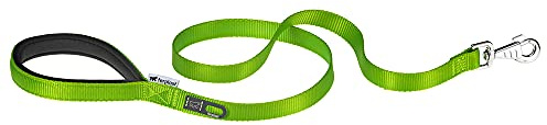 Ferplast Daytona G Guinzaglio per Cani Extraresistente - Morbida Impugnatura Imbottita - Pratico Porta Sacchetti Igienici - Antiabrasione - Design Italiano - 120 x 2 cm, Verde