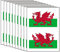 Welsh Flag Face Tattoos, Wales Country Flag Face Stickers, 2022 World Cup European Cup Football Events Cheering Party Favors Accessories for Football Fans Supporting - 10PCS, White,Green,Red