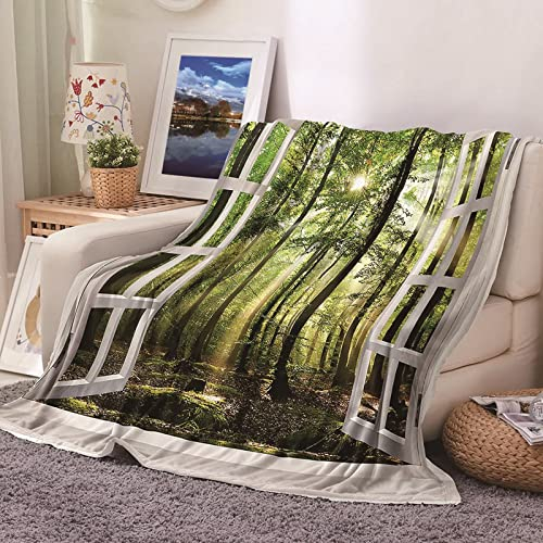 Fleece Decke Mädchen, Wohndecke Groß Warm Grün Sofaüberwurf Flanell Baum Sonnenschein Sofadecke Couchdecke 130X150CM