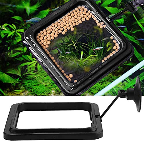 Aquarien Feeding Station Fisch Fütterung Station Aquarium Feeder Ring Aquarium Schwimm futterkreis Umweltfreundliche Fischfutterautomat Aquarium Betta Fischfutterstation mit Saugnapf (Quadratisch)
