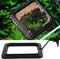 Aquarien Feeding Station Fisch Fütterung Station Aquarium Feeder Ring Aquarium Schwimm futterkreis Umweltfreundliche Fischfutterautomat Aquarium Betta Fischfutterstation mit Saugnapf (Quadratisch)