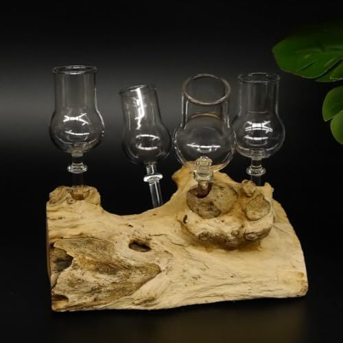 GTK Geweihe & Trophäen Krumholz Schnapsanbieter 4 Gläser mit Stil auf Wurzel Steckglas Set Schnaps Geschenk Neu #27.60.1.10
