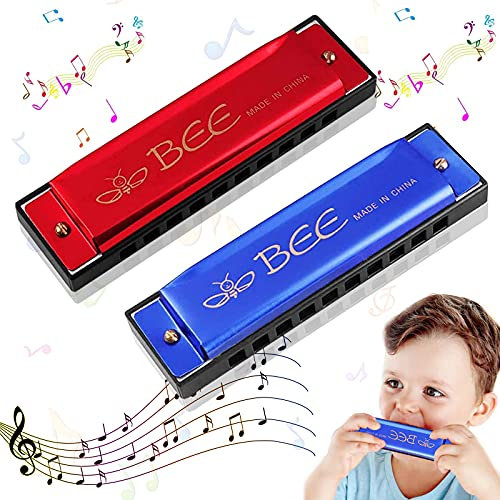 2 Stück Mundharmonika, Mundharmonika für Kinder, 10-Loch diatonische Harmonika, Mundharmonika C-Dur Major Blues Harmonika, Kinder Mundharmonika Spielzeug, für Anfänger (Blau und rot)