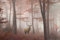 WALD Fototapete VLIES-300x223 cm (2902A)-Natur Landschaft Bäume Herbstbäume Tiere Hirsch Wandtapete-Inkl. Kleister-Vliestapete Bild Dekoration Wand-Dekor Moderne Motiv-Tapete Panorama Poster XXL