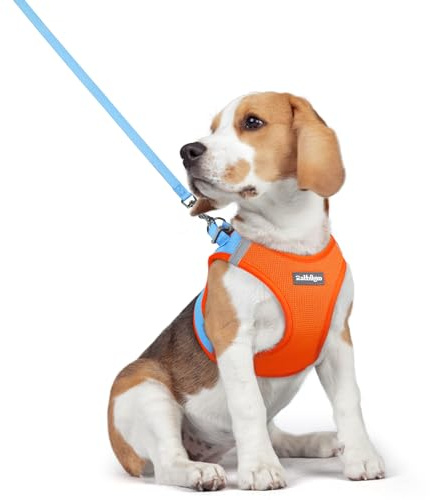rabbitgoo Hundegeschirr Kleine Hunde mit Leine Step-in, Blau & Orange, L | Einfach anzulegen, Atmungsaktiv, Weiches Mesh & Reflektierend, Sicherheitsverschluss mit 1,5m Leine für Kleine Mittlere Hunde