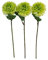 GILDE Deko Kunstblumen-Strauß Chrysanthemen Noa, Höhe 34 cm, 3-teiliges Set, grün