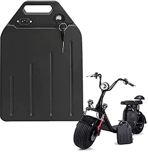(3-5 Tage Lieferzeit) E-Bike Fahrrad Pedelec Akku 60V 20Ah Lithium-Ionen Akku mit BMS und Ladegerät für Citycoco E-Scooter 200W 500W 750W 1000W 1500W Motor