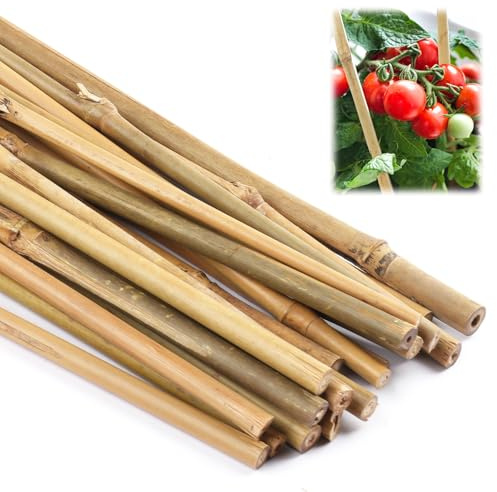 Lot de 20 tuteurs en bambou naturel de 40 cm pour tomates, haricots, fleurs et arbres, pour plantes en pot et plantes grimpantes