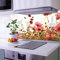 banjado Küchenrückwand Glas ohne Bohren 100x50cm – Glasrückwand Küche mit Motiv Schmuckkörbchen/Spritzschutz Küchenrückwand Glas/selbstklebende Küchenrückwand Platte - magnetisch & beschreibbar
