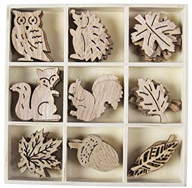 RiloStore 36 STK Holzteile in Holzbox Igel Blätter Eichhörnchen Nuss Eule Blätter Laub Herbstdeko Winterdeko Holz Streuteile Naturdeko
