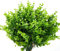Künstliche Blumen, UV-beständig, für den Außenbereich, künstliche Pflanzen und grüne Federn, künstlicher Buchsbaum, für Brautpartys, Blumenstrauß für grüne Sträucher,Heimgarten (grün) 12 Stück