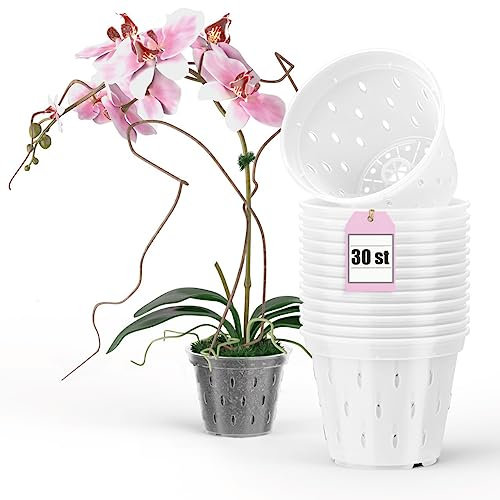 Garten lux Lot de 30 Pots à orchidées en Plastique Transparent avec Trous en Maille pour orchidées Diamètre 14 cm Hauteur 11 cm 1 l