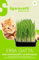 Semi di Erba Gatta (Nepeta Cataria), Cura Molti Disturbi dei Gatti, Semillas, Graines