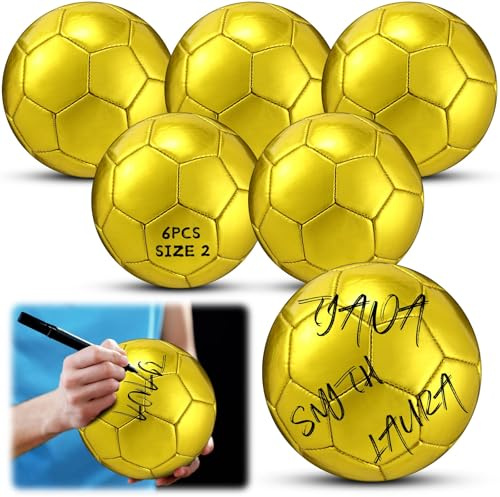 WinnerWhy 6 Pcs Gold Autograph Volleyball Official Size 2 Mini Trophy Volleyball Golden Custom Volleyball with Air Pump for Trophies Anniversary School College Coaching Gift Awards Party