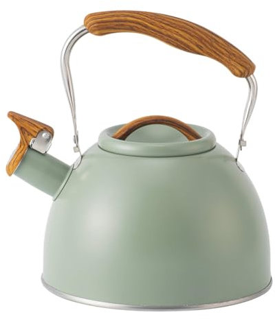 Bouilloire à sifflet à induction en acier inoxydable bouilloire à induction moderne verte 3L pour cuisinière en vitrocéramique gaz cuisinière électrique pour thé et café camping en plein air