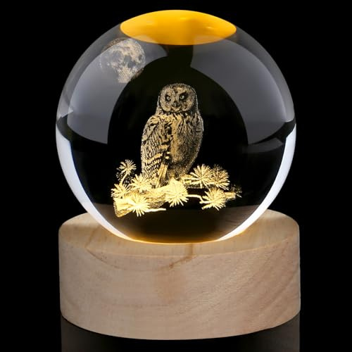 AWARDSEN 3D Eule Kristall Kugel Eule Ornament Eule Geschenke für Frauen Eulen Briefbeschwerer Glas Ornamente Tier Ornamente Niedliche Figuren Geschenke