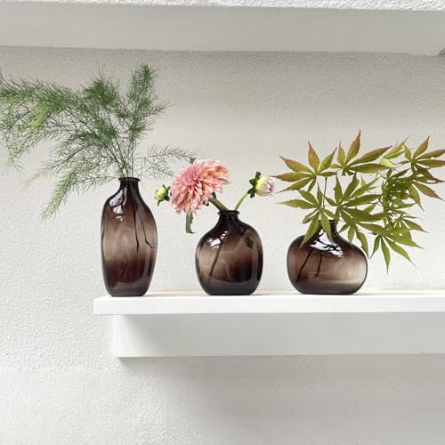 SLHEQING Kleine Vasen Für Tischdeko, 3er Set Mini Glasvase, Blumenvase für Einzelne Rose, Hydroponic Glasvase Fuer Blumen Deko Hochzeit Tisch Wohnzimmer Couchtisch Couchtisch (Braun)