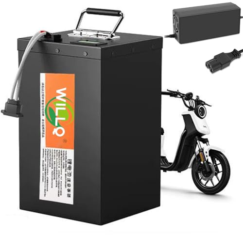 WILLQ 48V 60V 72V Motorradbatterie 40AH 50AH 60AH 70AH LiFePO4-Batterien mit Ladegerät für Dreiräder/Go-Kart-Teile,72v70ah