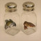 GTK - Geweihe & Trophäen KRUMHOLZ Salz & Pfeffer Streuer Set mit farbigen Motiv Fisch Zander und Hecht