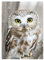 Aiuorty Diamond Painting Bilder Eule, 5D Diamond Painting Erwachsene Kinder, DIY Diamant Full Malen nach Zahlen, Painting Handwerk Bilder für Heim Dekor Wand Décor 30x40cm