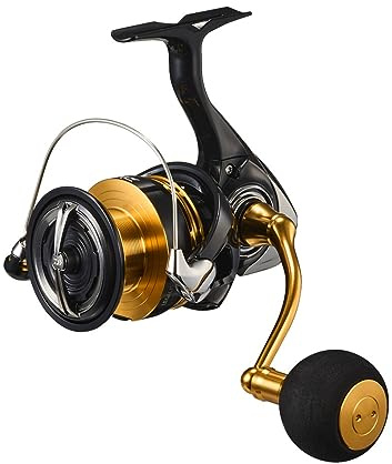 Daiwa LT 1000S Spinnrolle 6000D-H, 23 Legalis, versch. (Modell 2023)
