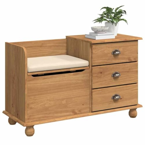 vidaXL Sitzbank mit Stauraum mit Speicher ASKIM Braun 100 x 39 x 62 cm | Viel Platz, um deinen Flur aufgeräumt zu halten Stau Schuhe,