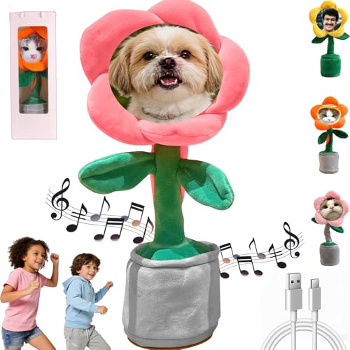 Girasole Personalizzato che Canta e Danza Fiore– Giocattolo Interattivo Ricaricabile con Custodia Regalo, Aggiungi Foto/Testo, Regalo Perfetto per Compleanni e Feste,Ripete ciò che Dici, (Pink)